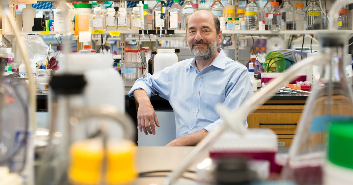 Harvard Neurobiologist Wins Major Award for Brain Plasticity Research – Harvard Gazette