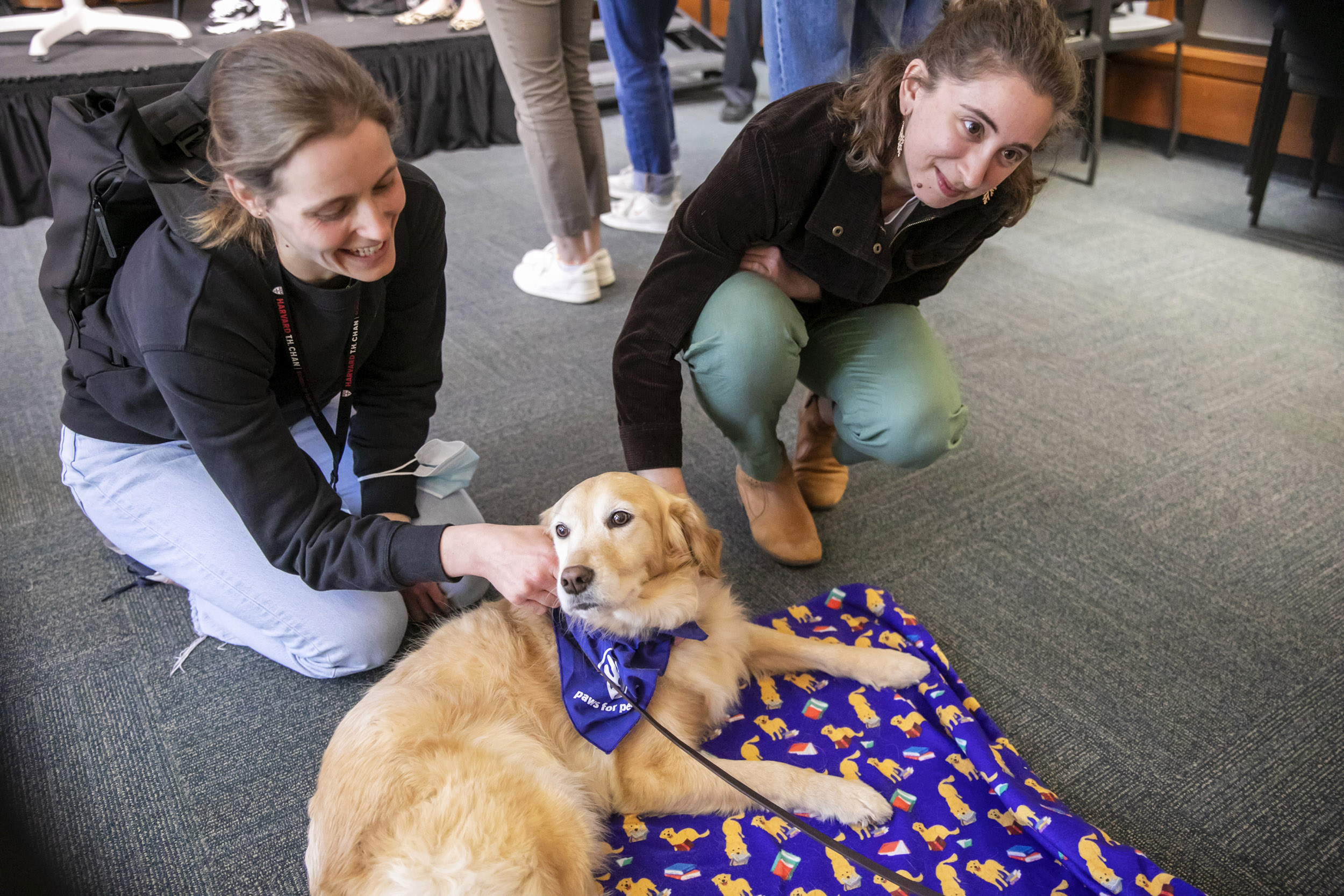 Can cats and dogs get along? Science says yes