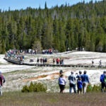 Tourists at Yellowstone National Park.