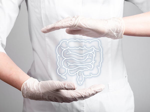 Illustration of gut.
