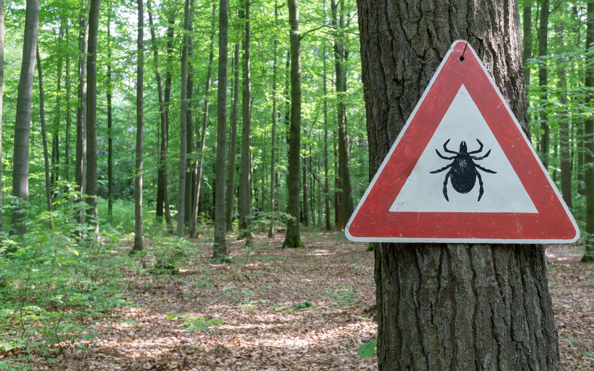 Tick warning sign in woods.