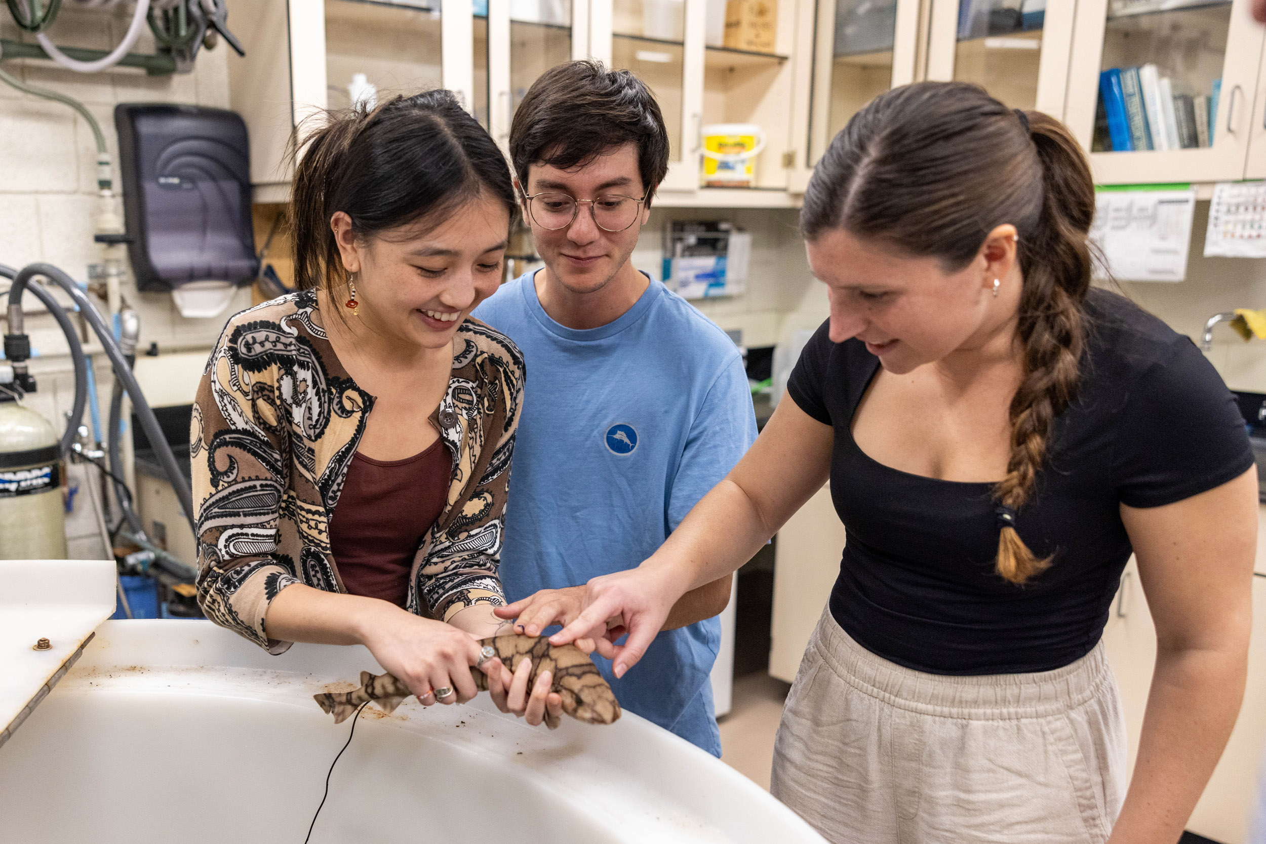 Women in STEM need more than a law — Harvard Gazette