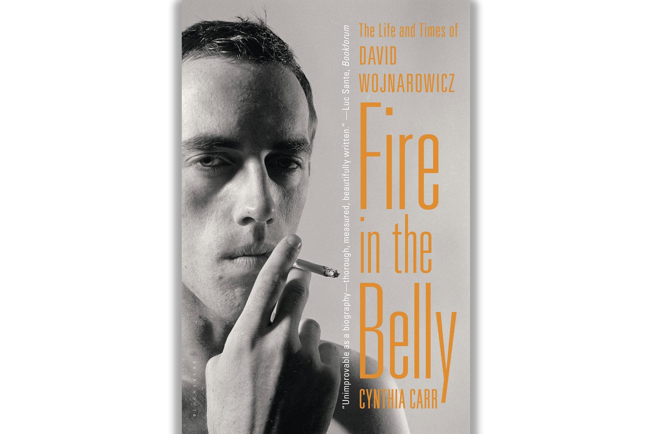 Fire in the Belly,’ Cynthia Carr’s towering biography of the artist David Wojnarowicz.