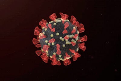 Evolving virus gif