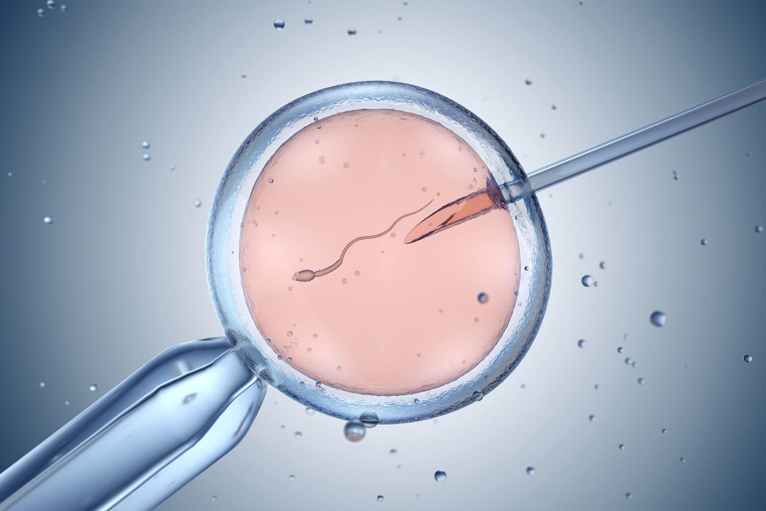 In-vitro fertilization. 3D illustration.