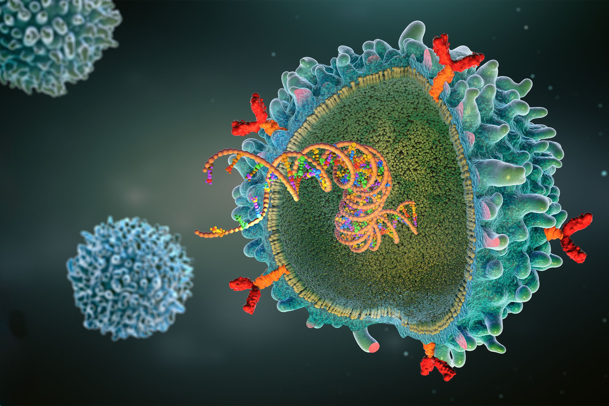CAR (chimeric antigen receptor) T-cell, illustration.