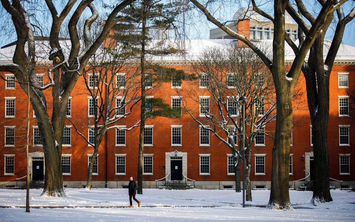 Harvard Yard following a recent snowstorm.