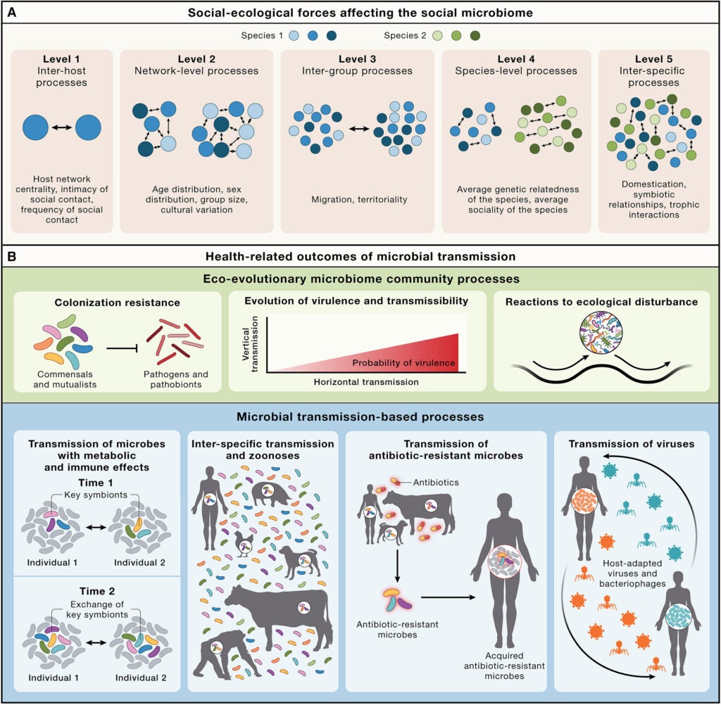 Processes at different social-ecological scales influence the social microbiome, and health-relevant processes are affected by the social transmission of microbes. 
