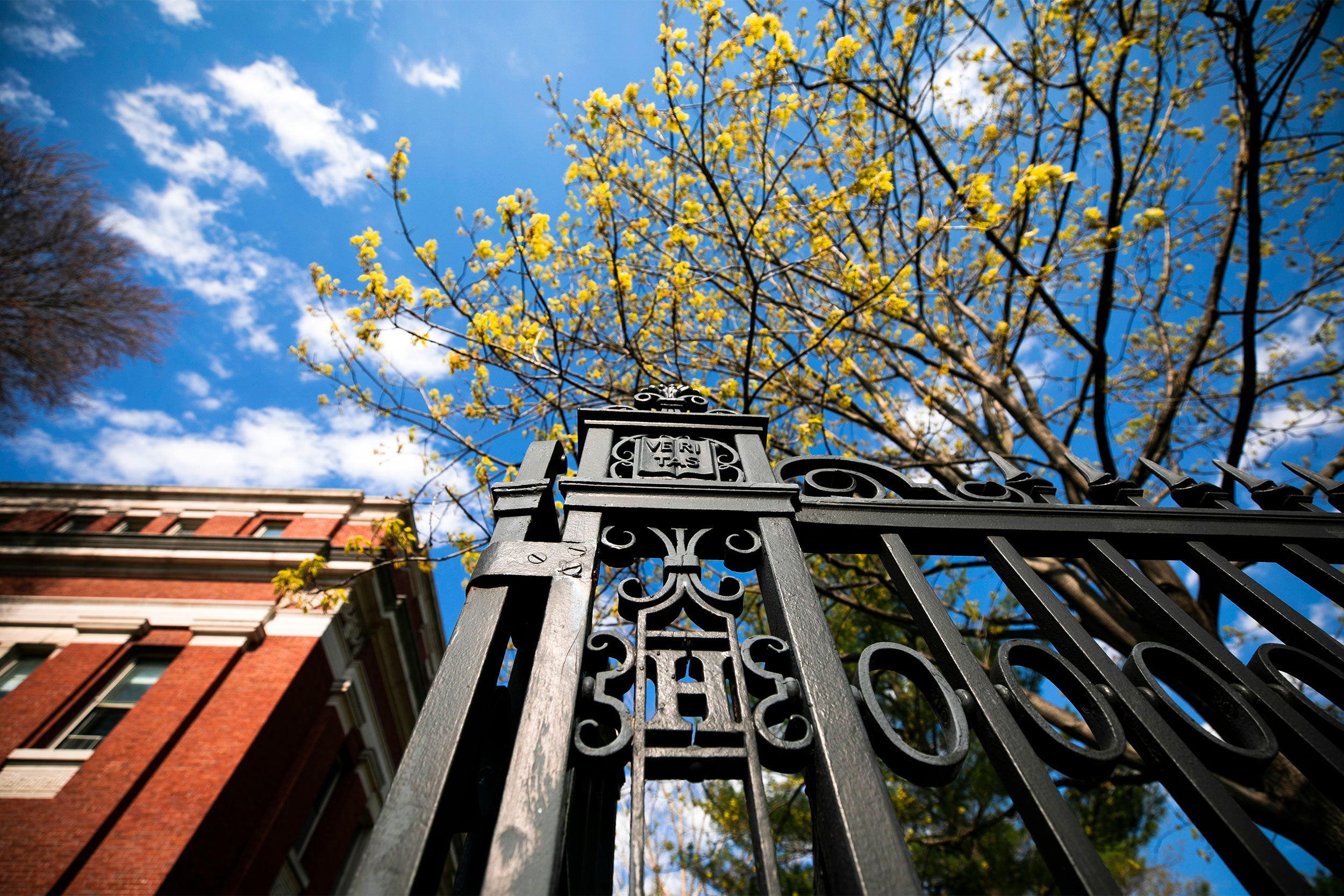 A gate into Harvard Yard.