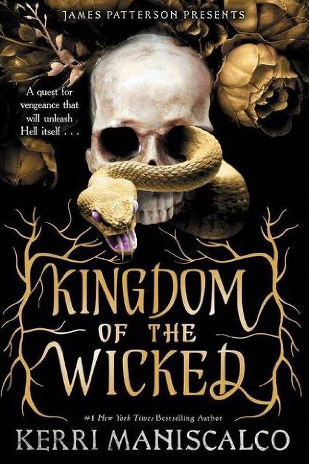 Book cover: "Kingdom of the Wicked."