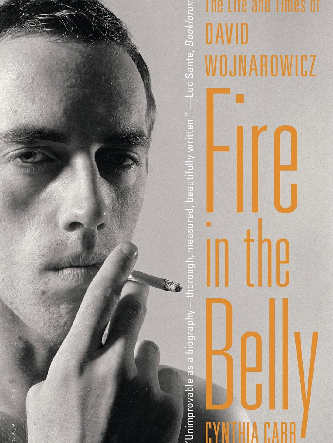Fire in the Belly,’ Cynthia Carr’s towering biography of the artist David Wojnarowicz.