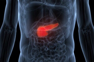3D Illustration of Pancreas within the body.