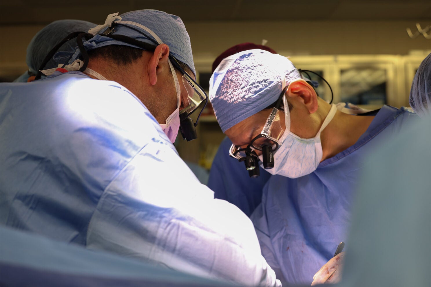 Massachusetts General Hospital transplant surgeons Dr. Nahel Elias, left, and Dr. Tatsuo Kawai perform the surgery of a transplanted genetically modified pig kidney into a living human.