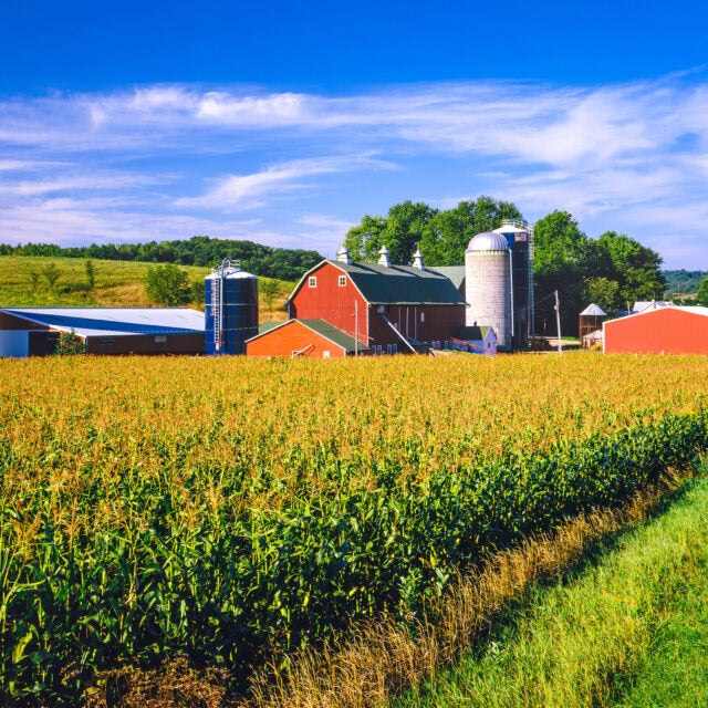 An Iowa farm.