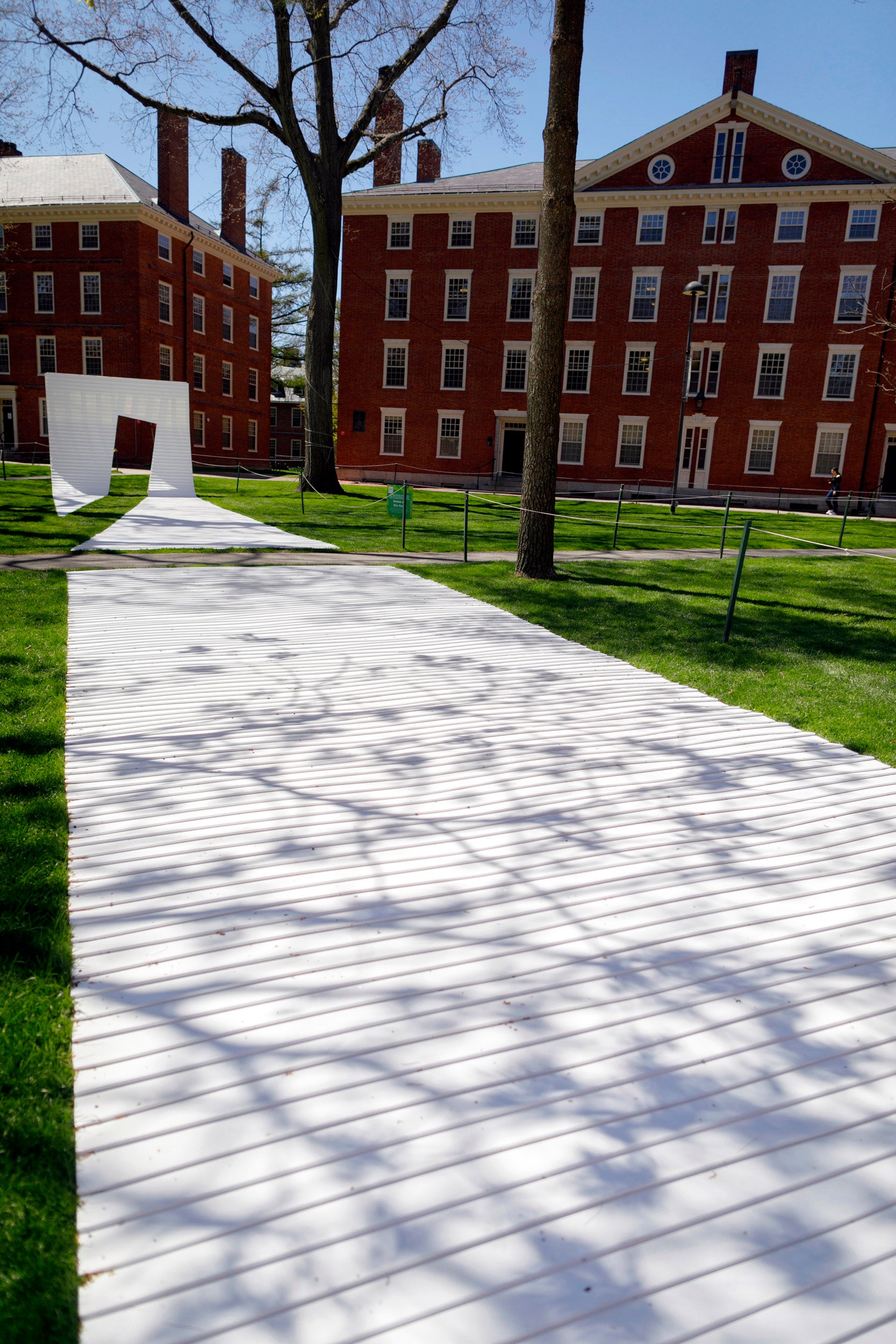 A detail image of a public art installation called “Home on the Yard” by Christian Behling GSD ’24, Ihwa Choi GSD ’24, Monica Mendoza GSD ’24, and Gabriel Schmid GSD ‘24 is pictured in Harvard Yard.