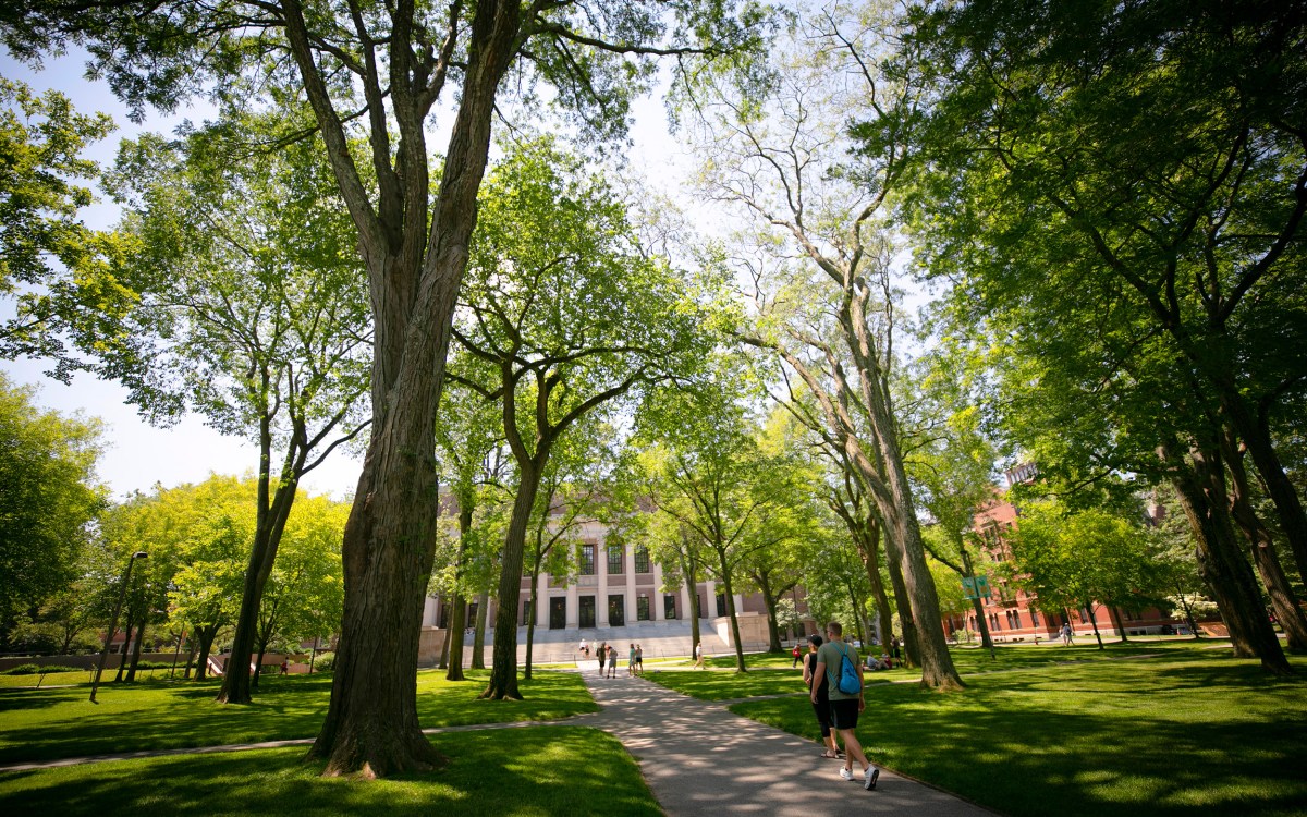 Harvard Yard.