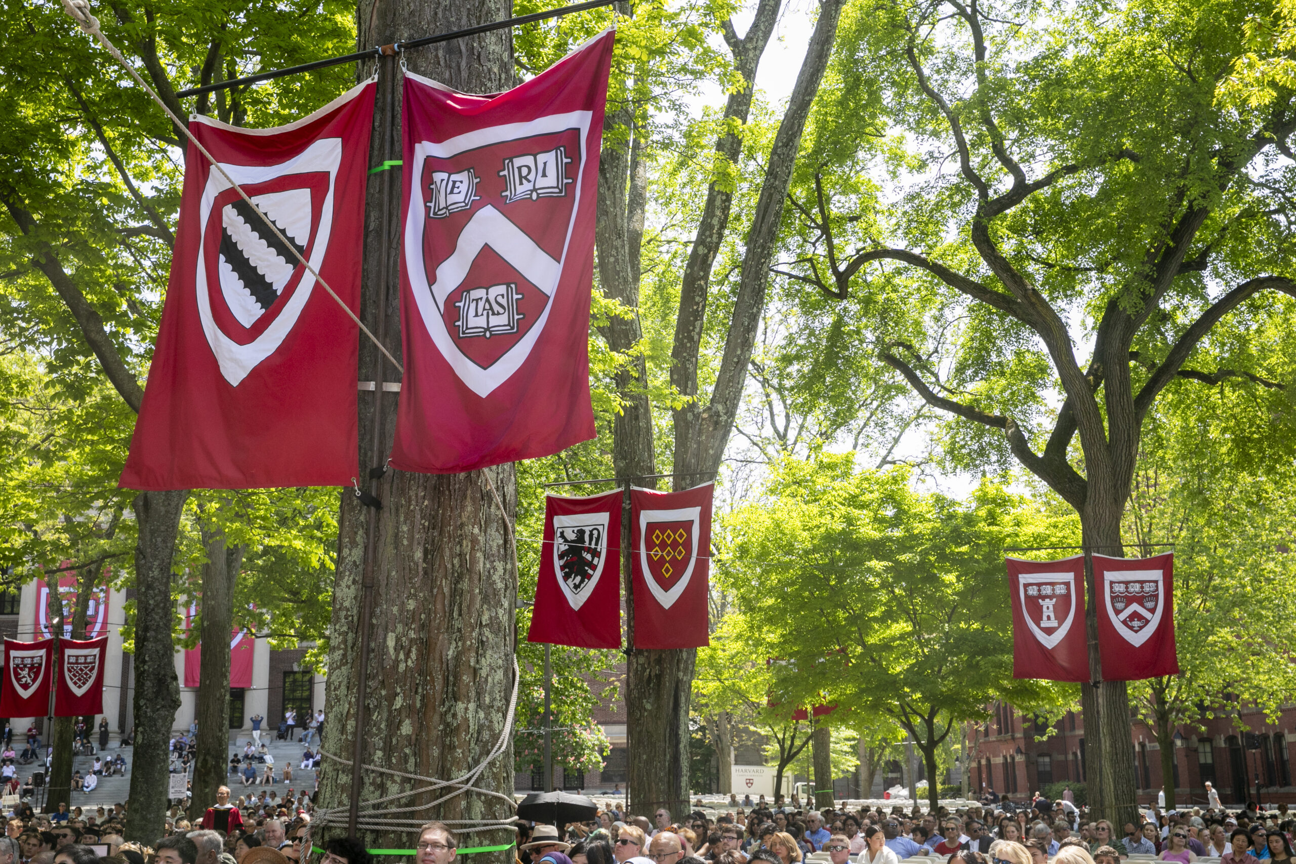 Harvard awards 9,277 degrees — Harvard Gazette - Vimarsana News