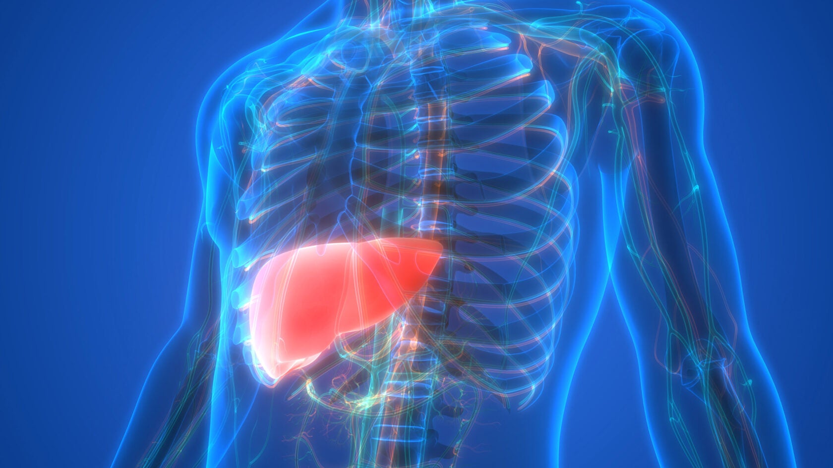 Getting ahead of liver cancer
