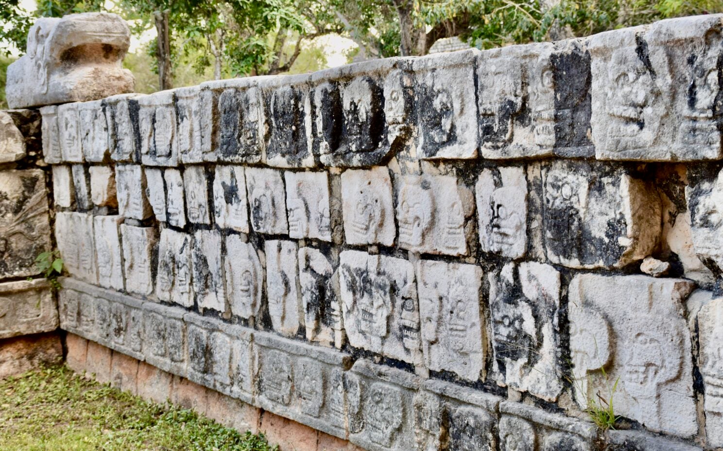 Current Fellows - HEAL Initiative, image size:1488x930