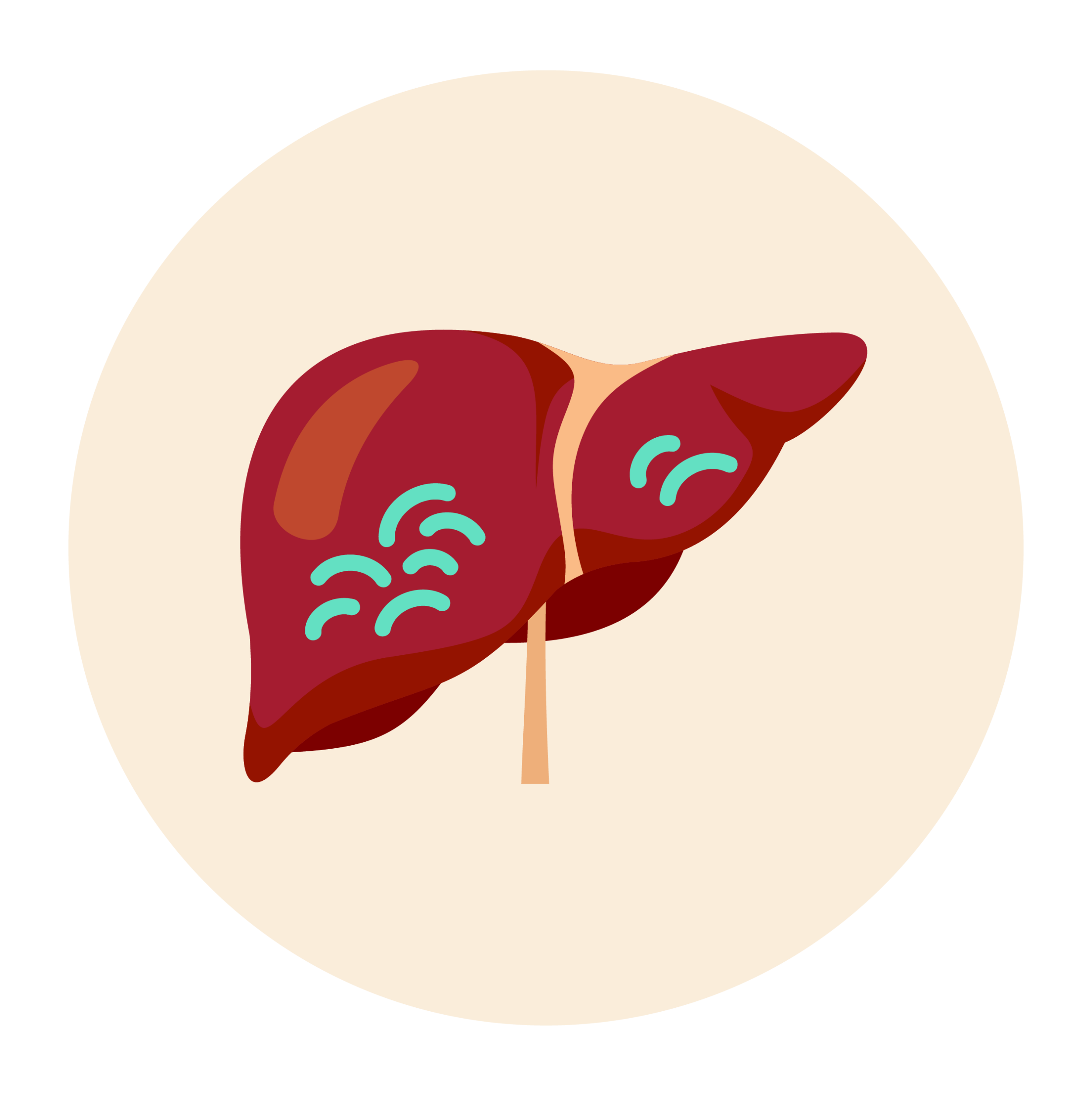 A liver with parasites. 