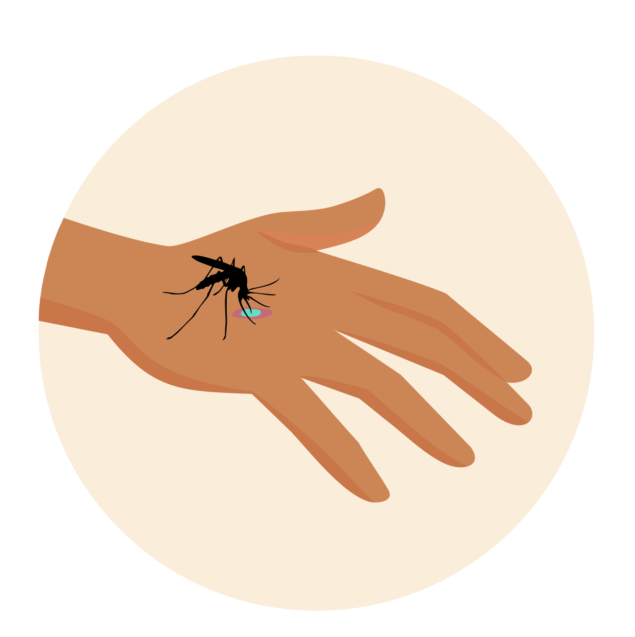 Uninfected mosquito biting a hand with malaria infected blood. 