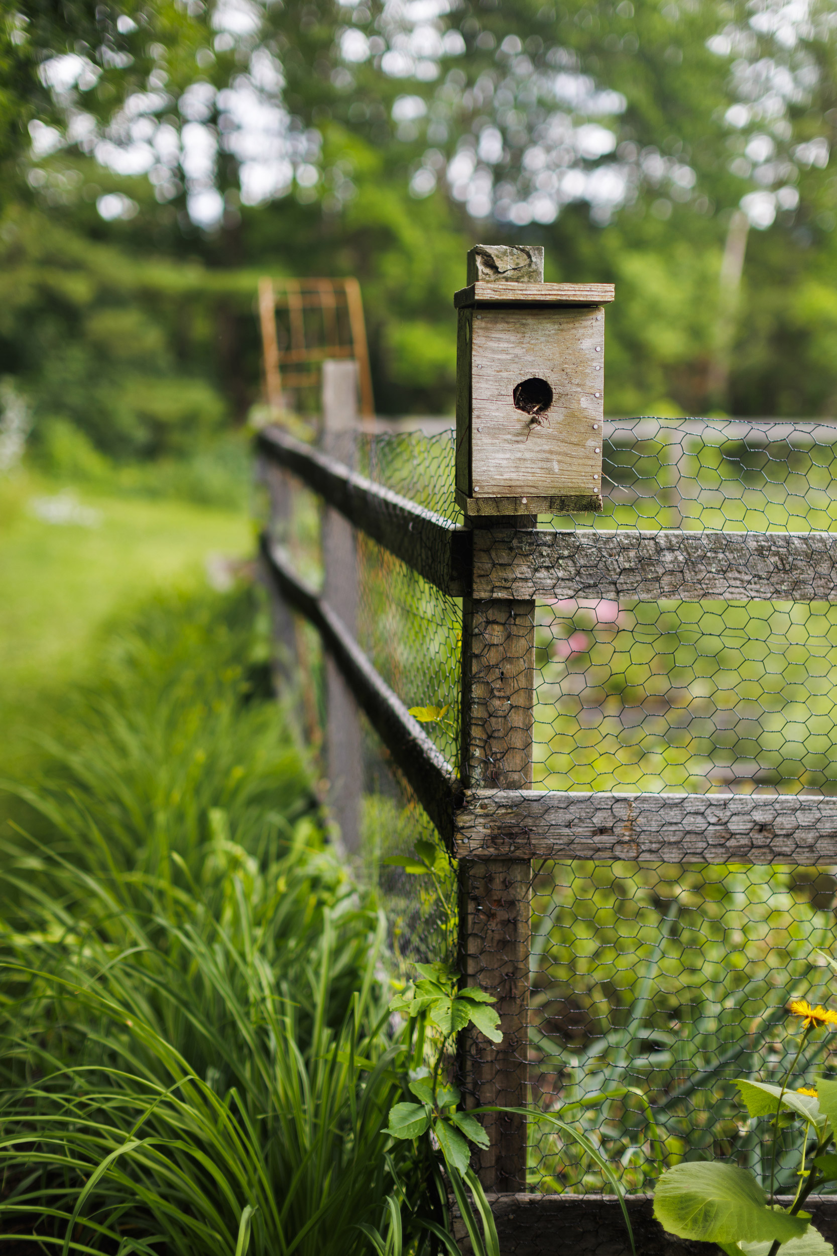 A detail of a bird house from Jamaica Kincaid's garden is pictured.