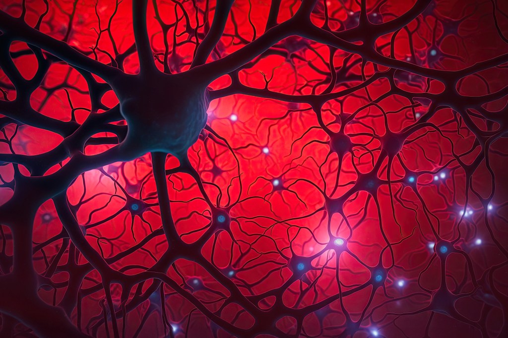 Neuron cells system disease.