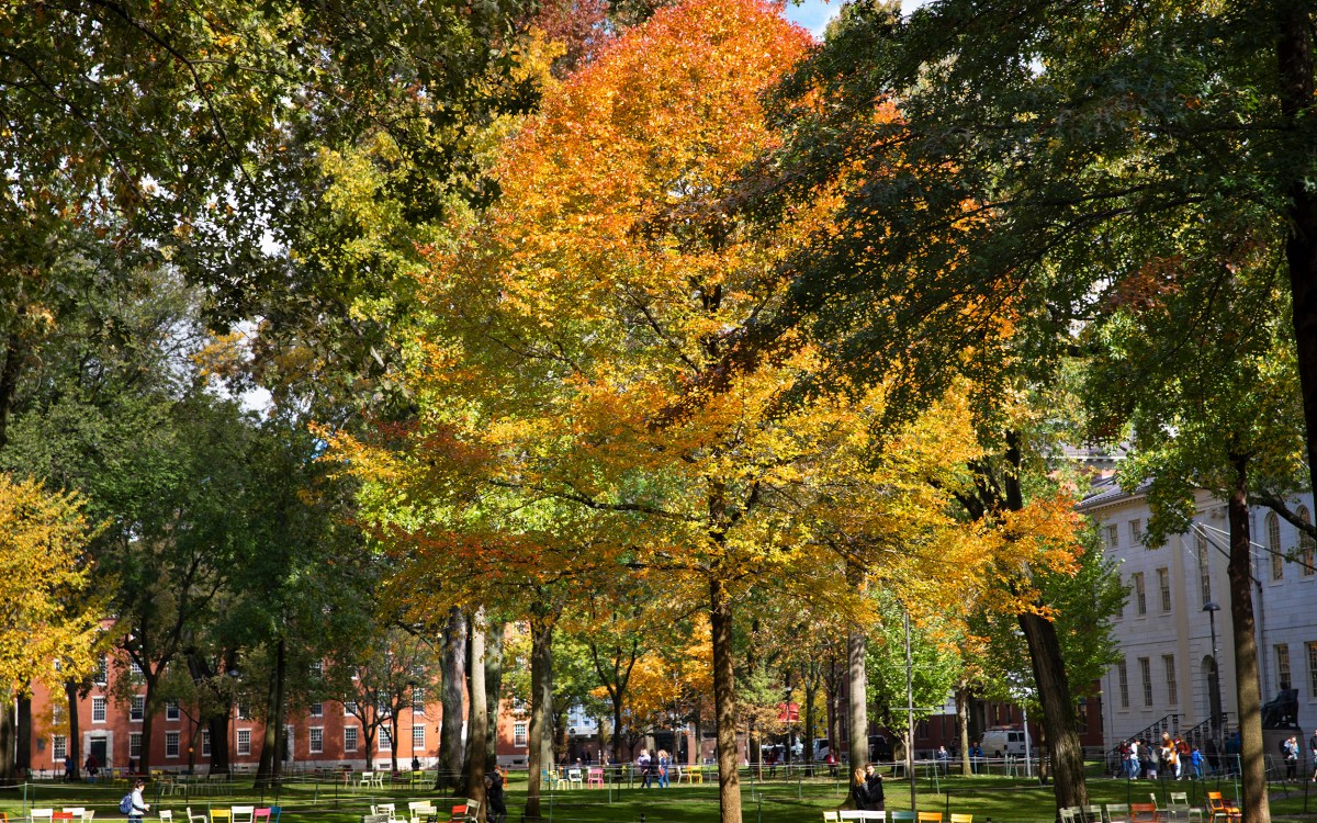 Harvard Yard filled with colorful fall foliage near the John Harvard Statue.