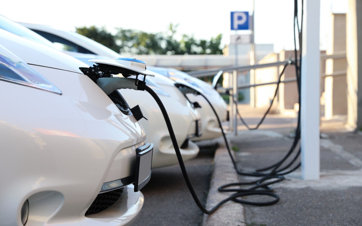 Lined up electric vehicle cars.