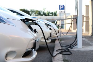 thesis statement for black lives matter essay Lined up electric vehicle cars.