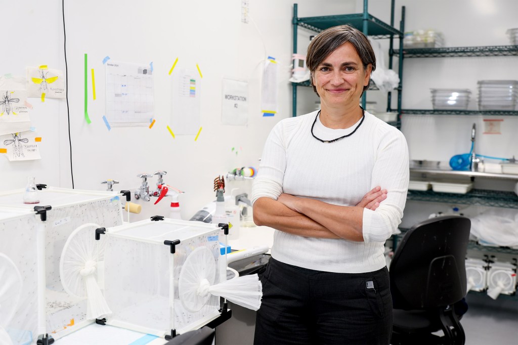 Professor Flaminia Catteruccia n the insectary inside the FXB Center.