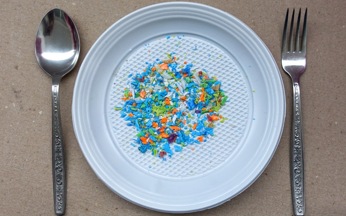 Photo illustration of microplastics on a plate.