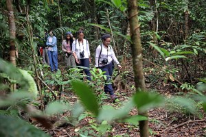 Raíssa Rainha, from right, Letícia Carvalho Silva, and Dariana González Aguilar make their way through the Amazon Rainforest.