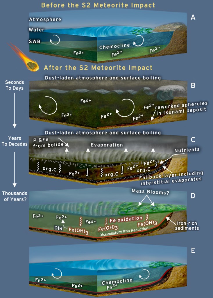 An infographic show the impact of the S2 meteor.Before the S2 meteorite is a healthy atmosphere and water system. Immediately following the S2 Meteorite impact is a dust-laden atmosphere and boiling surface. Years to decades later the dust-laden atmosphere and boiling surface has a fallback layer that includes interstitial evaporation. Thousands of years laters there is iron-rich sediments and potential mass blooms. 