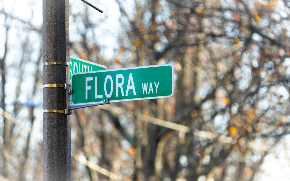 A photo of the street sign the reads “Flora Way.”