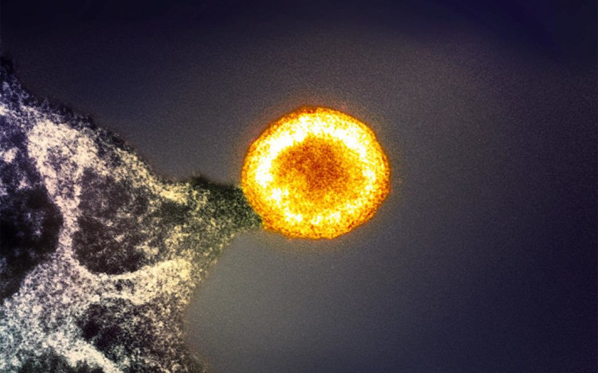 A bright circular virus particle shines in the center of an image against a dark background, with the edge of an infected cell seen in one corner.