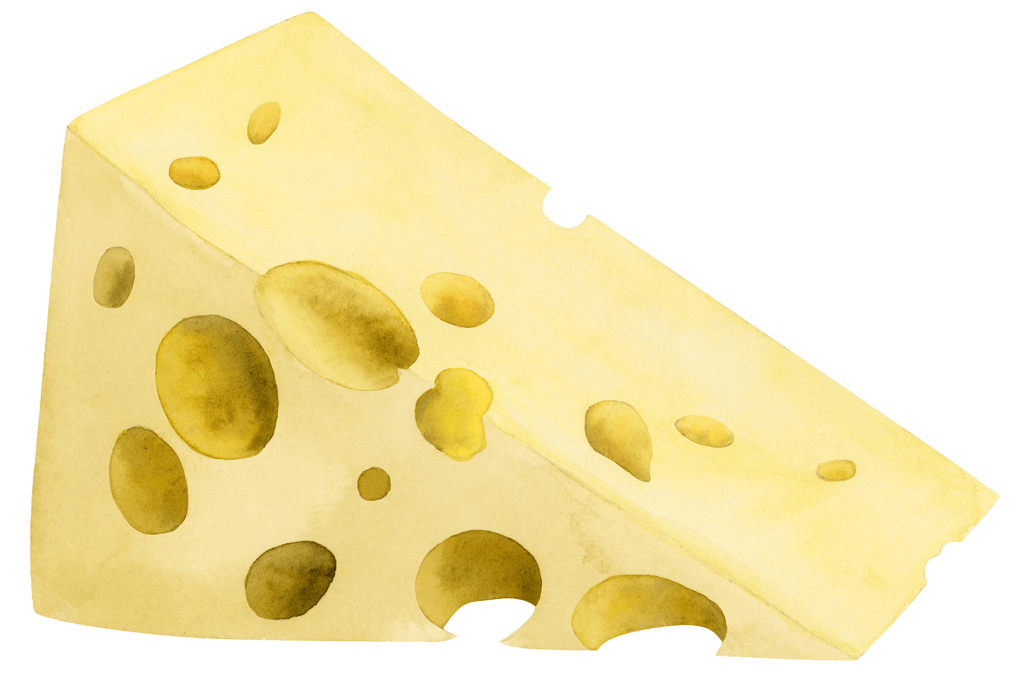 is-cheese-bad-for-you-harvard-gazette