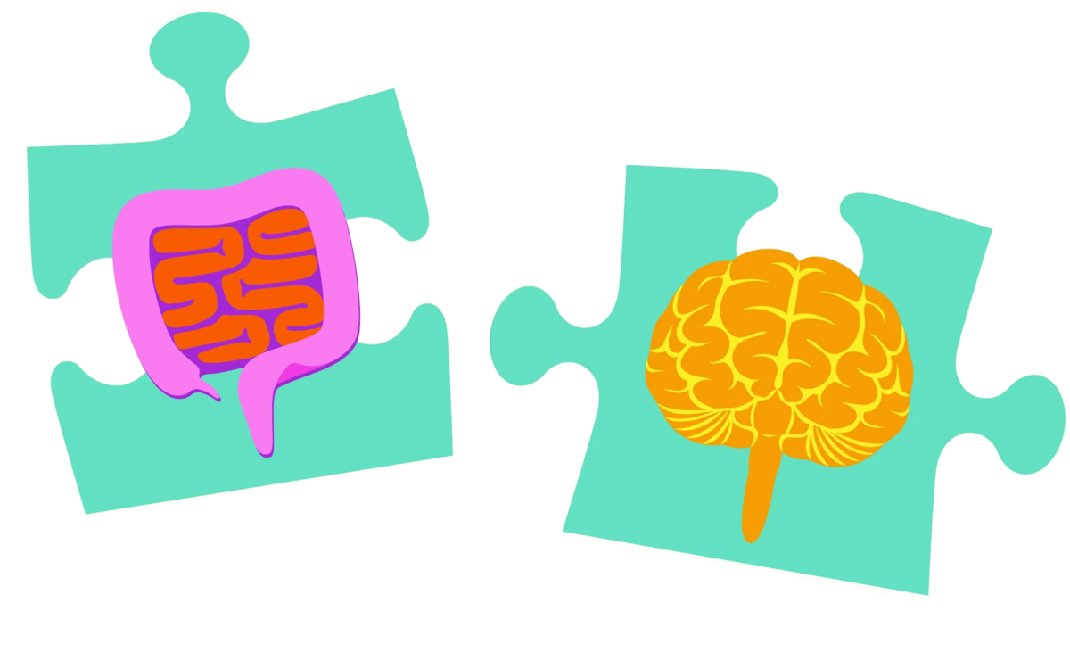 Illustration of gut and brain as puzzle pieces.