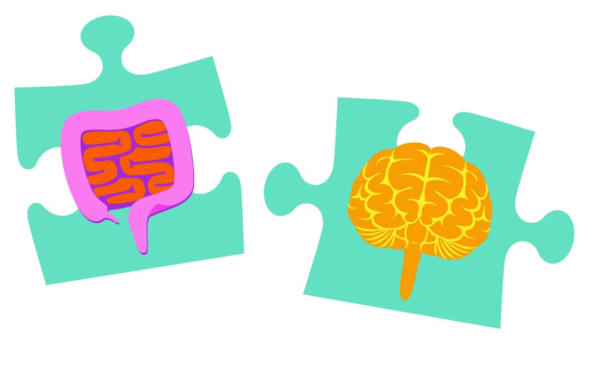 Illustration of gut and brain as puzzle pieces.