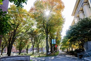 Harvard Yard.