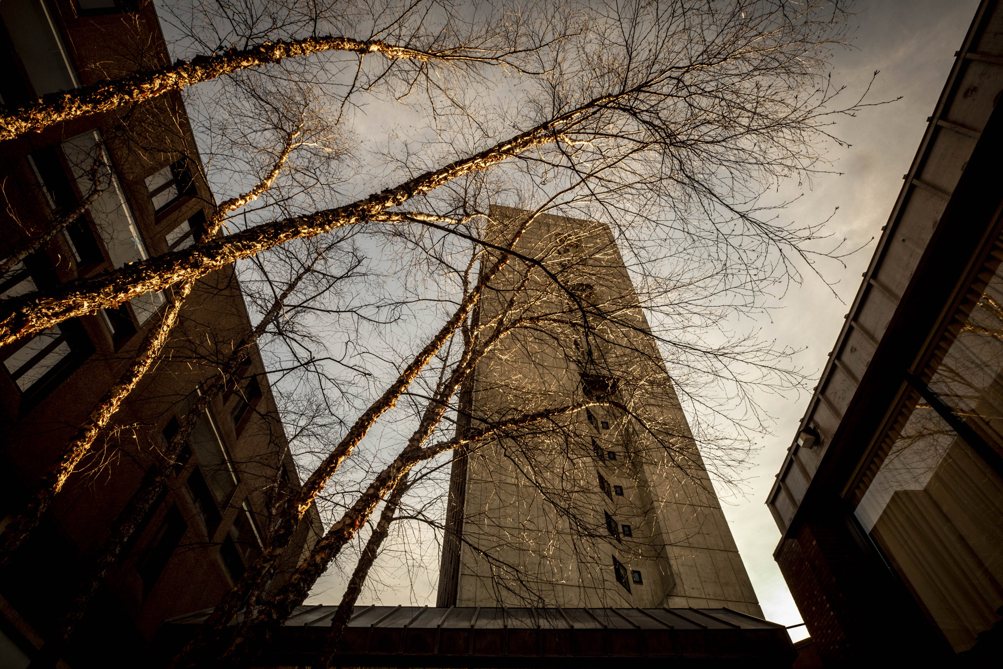 Views of Mather House courtyard.