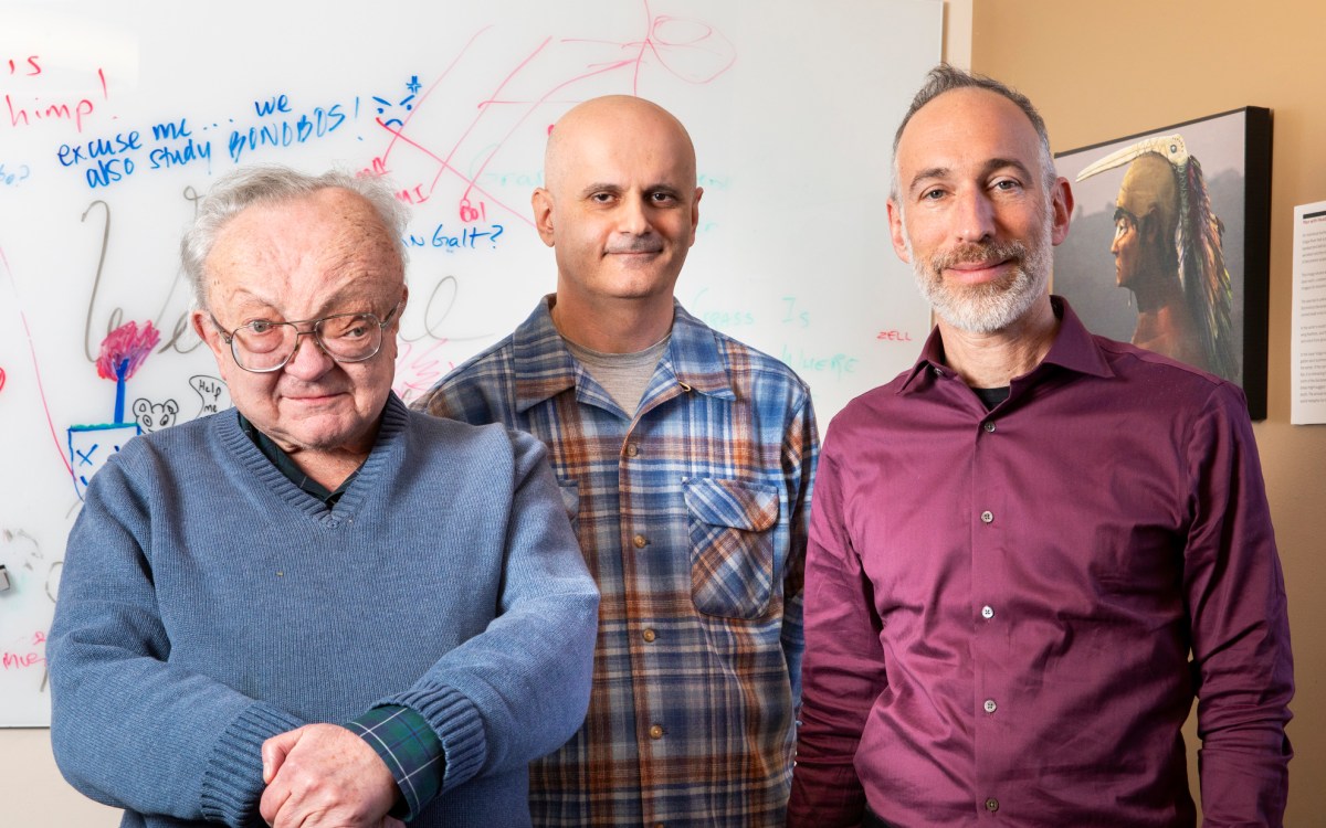 Nick Patterson (from left), Losif Lazaridis, and David Reich.