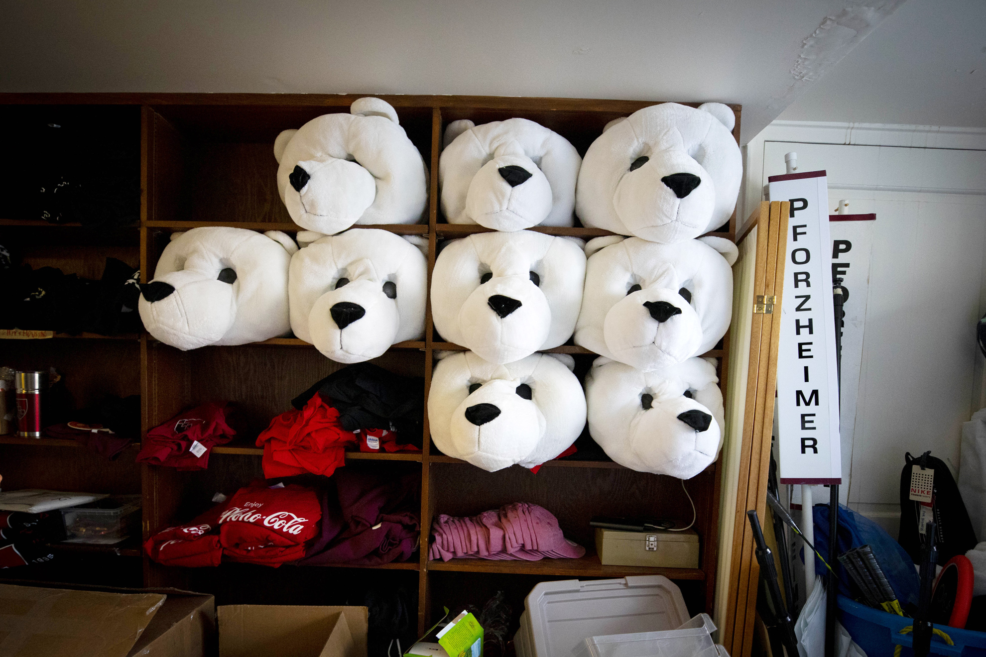 Polar bear heads line the shelves of a closet in Pforzheimer House.