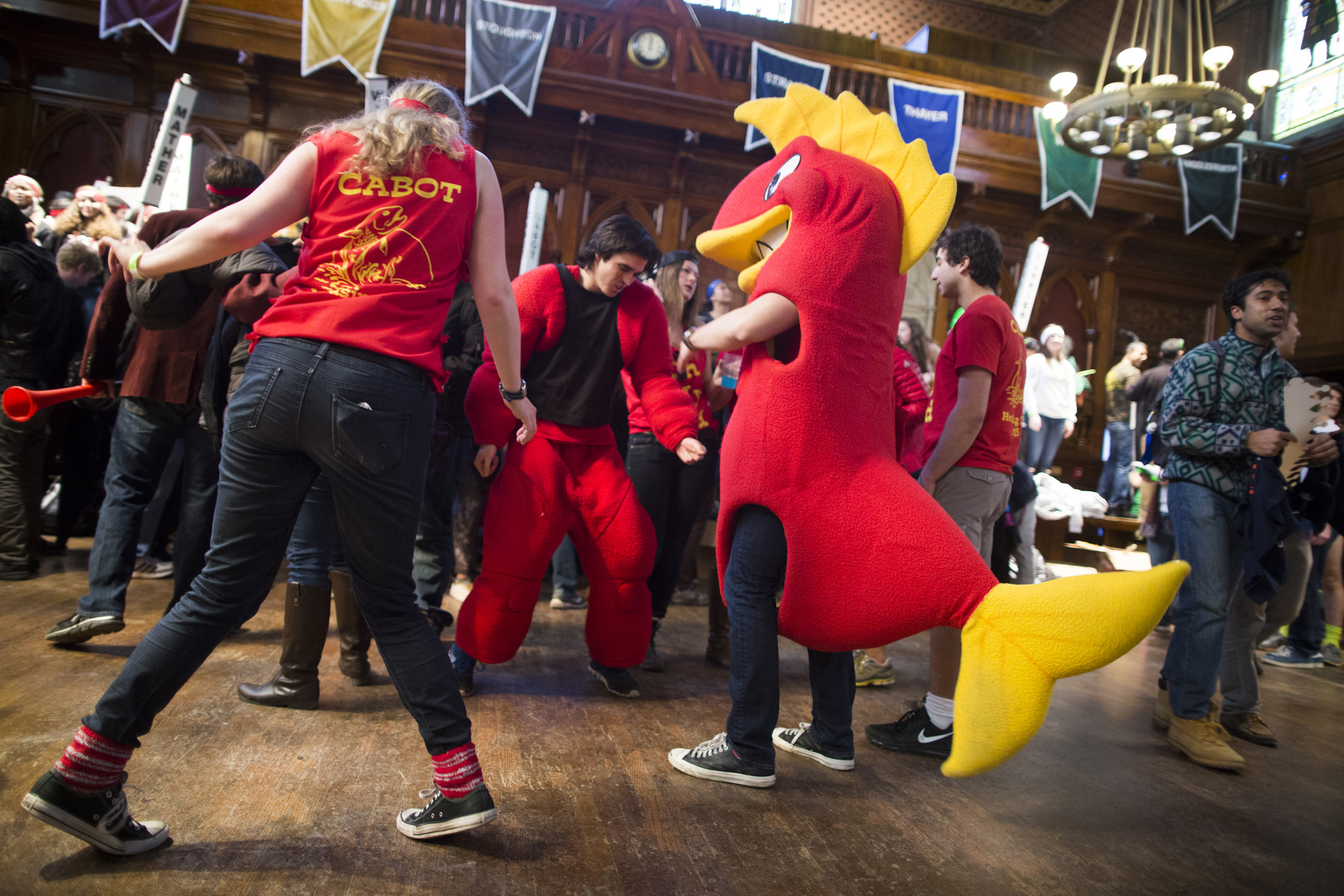 The Cabot House mascot dances in Annenberg Hall.