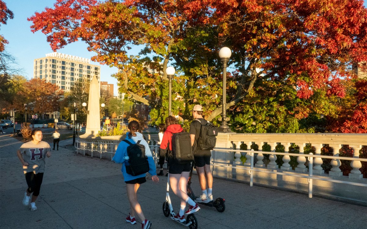 Students walking over the Weeks Bridge.