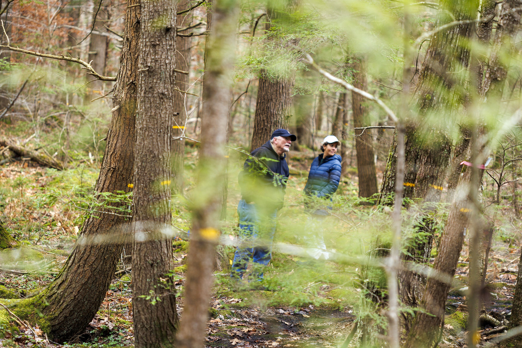 Forest Ecologist David Orwig, Director of Outreach & Education Clarisse Hart, and Senior Investigator Emery Boose walk the Harvard Forest