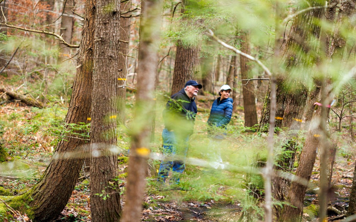 Forest Ecologist David Orwig, Director of Outreach & Education Clarisse Hart, and Senior Investigator Emery Boose walk the Harvard Forest