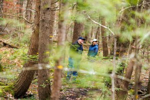 Forest Ecologist David Orwig, Director of Outreach & Education Clarisse Hart, and Senior Investigator Emery Boose walk the Harvard Forest