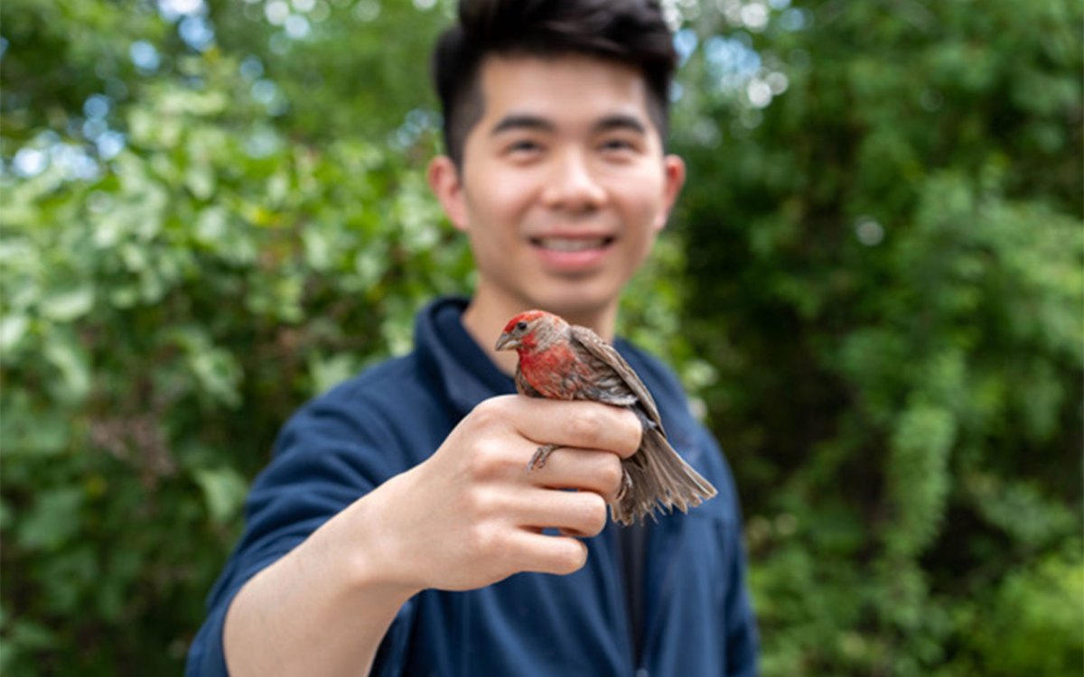 Bohao Fang holding a house finch.