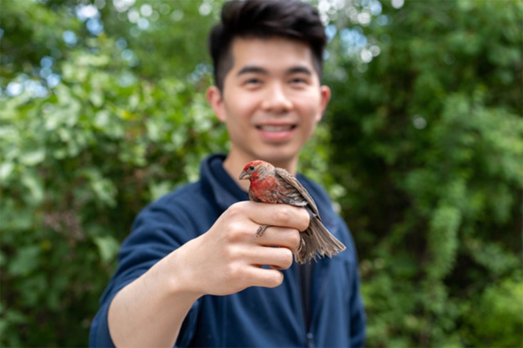 Bohao Fang holding a house finch.